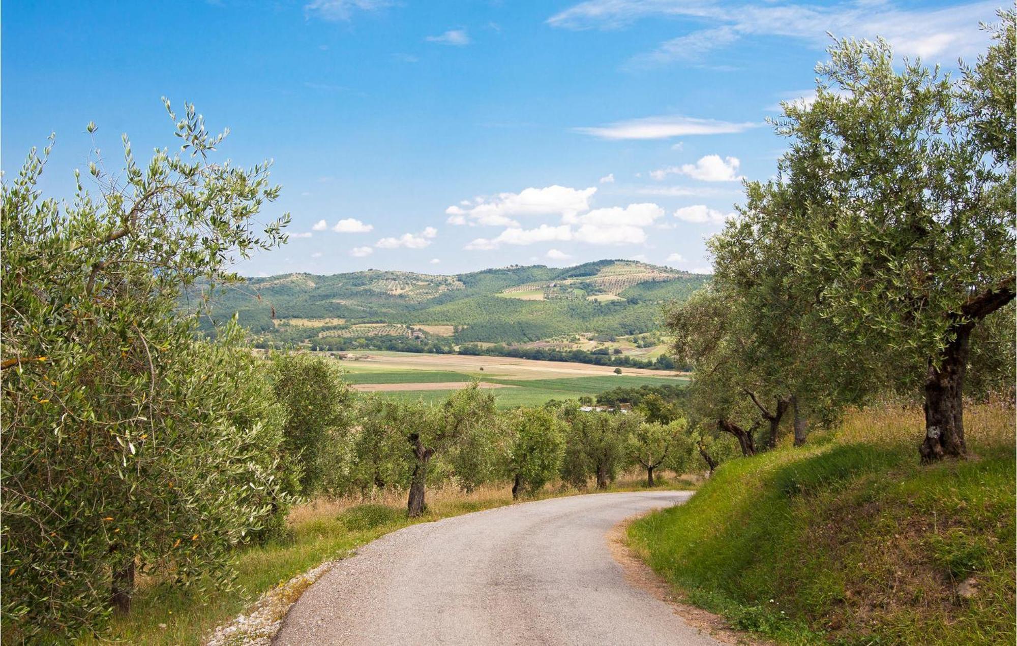 Fonterucola Villa Camporsevoli Kültér fotó